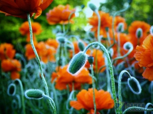 【索尼 dx10】山西天时利和商贸有限公司索尼